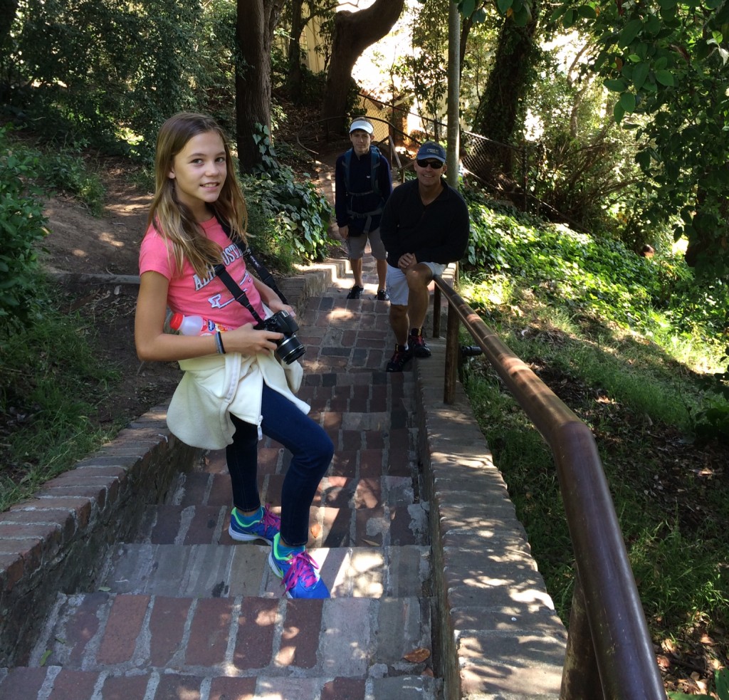 Telegraph Hill